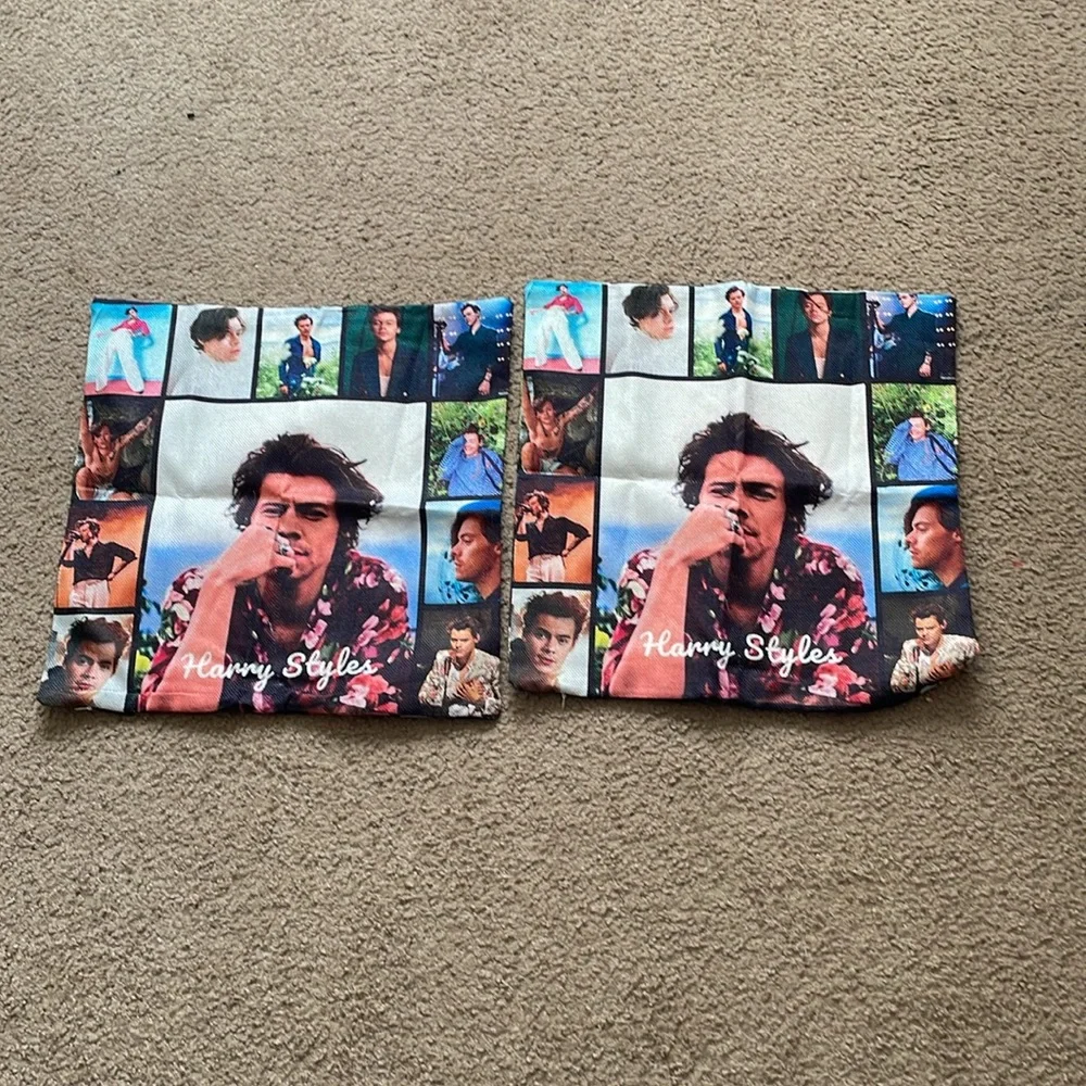 Harry Styles double sided couch pillows covers